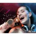 Wster Ws-668 Karaoke Usb Speaker Player Ktv Singing Microphone Stereo Mic. 