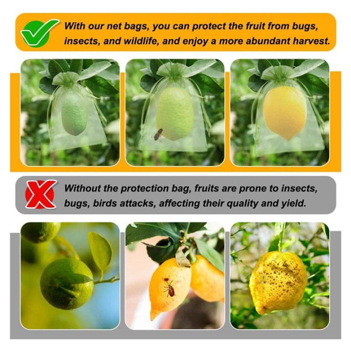 100PCS%20Fruit%20Protection%20Bags,%208x12%20Inch%20Green%20Fruit%20Netting%20Bags%20Set%20Kit%20Fruit%20Cover%20Pest%20Barrier%20-%20Image%208