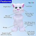 Talking Tom Interactive Musical Cat Toy for Kids. 