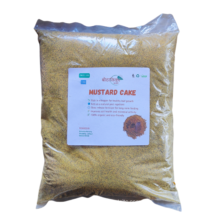 Mustard Cake(Tori ko Pina) 1 KG