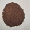 Mustard Seeds / Rayo Ko Dana - 1kg. 