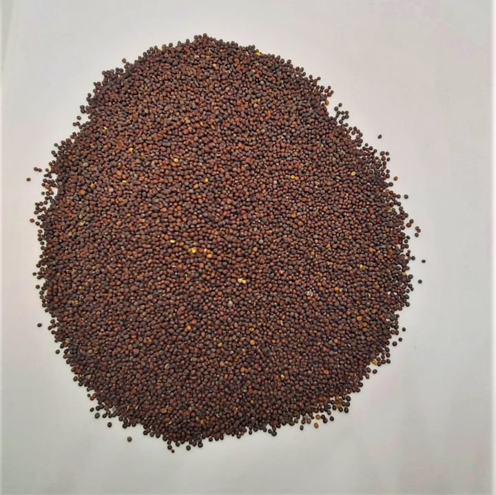 Mustard%20Seeds%20/%20Rayo%20Ko%20Dana%20-%201kg%20-%20Image%203