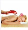 Vibrating Heat Full Body Dolphin Massager(Multicolour). 