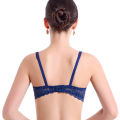 bra lingerie sheer b bra lace padded underwires Sales promotion ladies miniimizer no bra cup push-ups. 
