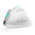 ZELOTES F-36 Wireless Vertical 2.4G Bluetooth Mouse Full. 