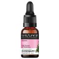 Soulflower Rosemary Essential Oil for Hair Growth 15ml. 
