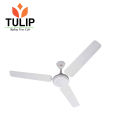 Tulip Ceiling Fan - A Star. 