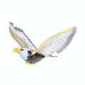 Flying Eagle Sling Hovering Hawk Birds Toy. 