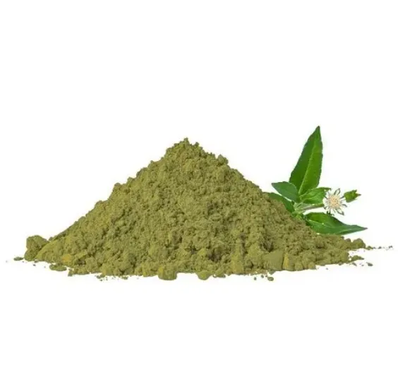 ShopWholly%20Premium%20Bhringraj%20Powder%20%E2%80%93%20100%25%20Natural%20Ayurvedic%20Herbal%20Powder%20for%20Hair%20Growth,%20Strong%20Roots%20&%20Healthy%20Scalp%20%E2%80%93%20100g%20/%20200g%20/%20500g%20-%20Image%203