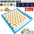360 Degree Egg Turner Tray for Incubator. 