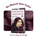 Paradyes No Bleach Velvet Burgundy Glossy Hair Tint - Ammonia-Free for Formula Visible on Natural Black Hair, Includes Anti-Fade Conditioner for Long-Lasting Shine, 1 Count. 