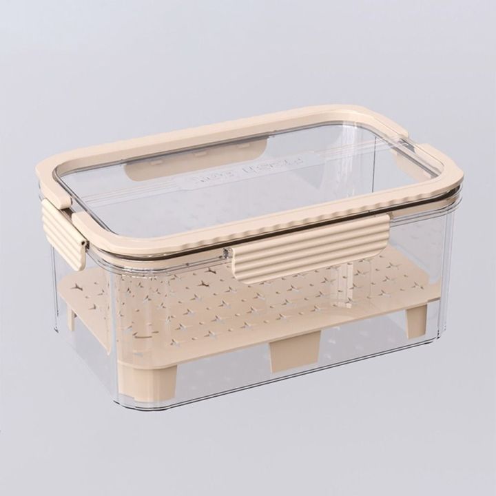 Refrigerated%20Double%20Layer%20Food%20Storage%20Container%20with%20Handle%20Large%20Capacity%20Drain%20Storage%20Box%20PET%20Leak%20Proof%20Plastic%20Crisper%20Fresh%20Vegetables%20-%20Image%209