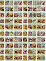 Mix Max 50 Types Of Combo Seeds Offer (Mix Seeds Of Flowers And Vegetable Seeds) - Best For Small Garden And Kausikheti मिक्स माक्स अफर  सस्तो मा कौसी खेतिलाई मात्र. 