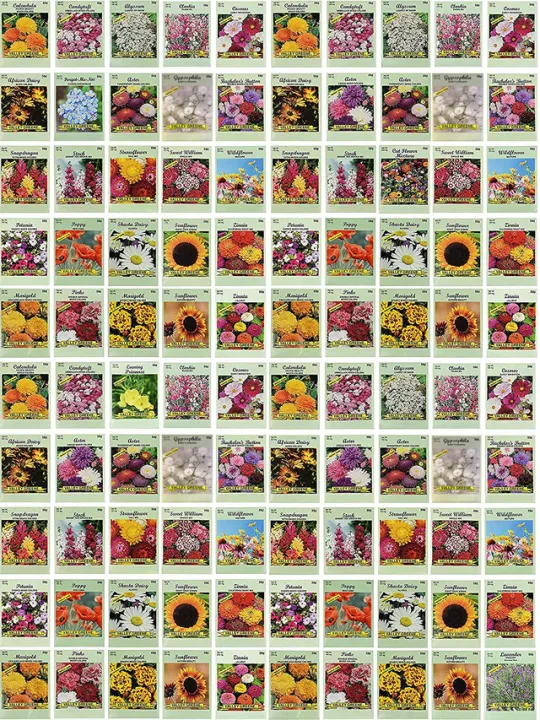 Mix%20Max%2050%20Types%20Of%20Combo%20Seeds%20Offer%20(Mix%20Seeds%20Of%20Flowers%20And%20Vegetable%20Seeds)%20-%20Best%20For%20Small%20Garden%20And%20Kausikheti%20%E0%A4%AE%E0%A4%BF%E0%A4%95%E0%A5%8D%E0%A4%B8%20%E0%A4%AE%E0%A4%BE%E0%A4%95%E0%A5%8D%E0%A4%B8%20%E0%A4%85%E0%A4%AB%E0%A4%B0%20%20%E0%A4%B8%E0%A4%B8%E0%A5%8D%E0%A4%A4%E0%A5%8B%20%E0%A4%AE%E0%A4%BE%20%E0%A4%95%E0%A5%8C%E0%A4%B8%E0%A5%80%20%E0%A4%96%E0%A5%87%E0%A4%A4%E0%A4%BF%E0%A4%B2%E0%A4%BE%E0%A4%88%20%E0%A4%AE%E0%A4%BE%E0%A4%A4%E0%A5%8D%E0%A4%B0%20-%20Image%202