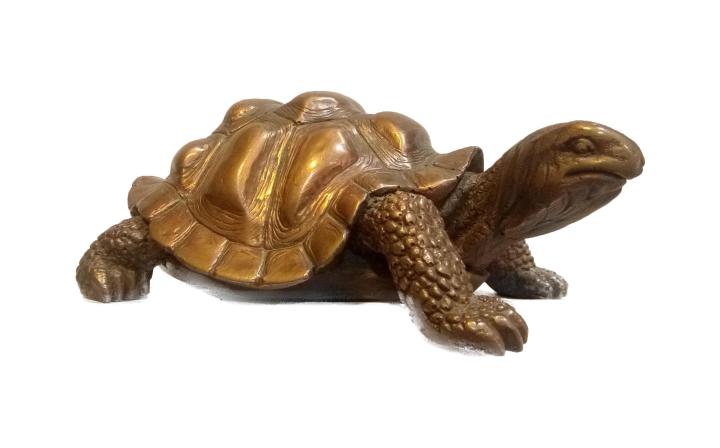 Copper%20Tortoise%205''%20By%20Tamo%20Collectibles%20-%20Image%202
