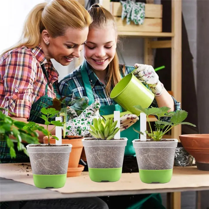 12%20Packs%203%20Inch%20Square%20Plastic%20Nursery%20Pots,%20Clear%20Plant%20Pot%20with%20Soft%20Silicone%20Base%20for%20Easy%20Transplant,%20Flower%20Pots%20-%20Image%207