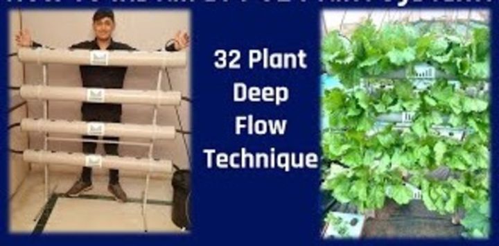 Hydroponic%20System%20For%2032%20Plants%20-DFT%20(Deep%20Flow%20Technique)%20-%20Image%203