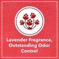 Drools Clumping Lavender Fragrance Cat Litter (For multiple cats) 5kg By HAMROPETS. 