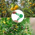 30Pcs Durable Plastic Plant Benders Growth Manipulation Plant Stem Branche Bending Low Stress Clip Garden Supplies Reuseable Plant Support Clamps. 