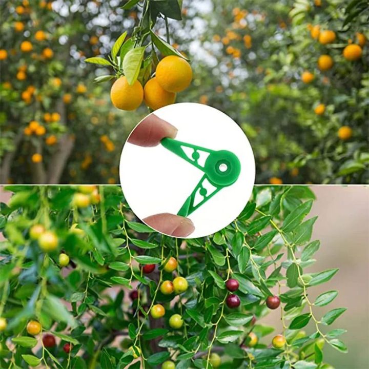 30Pcs%20Durable%20Plastic%20Plant%20Benders%20Growth%20Manipulation%20Plant%20Stem%20Branche%20Bending%20Low%20Stress%20Clip%20Garden%20Supplies%20Reuseable%20Plant%20Support%20Clamps%20-%20Image%207