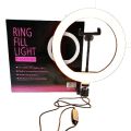 26 cm Big LED Ring Light Only With No Stand. 