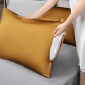 Silk Pillowcase (1 pc) for Hair and Skin, Cooling Silk Pillow Case ,Allergen Proof Dual Sides Soft Breathable Smooth Silk Pillow Cover (1 pc ). 