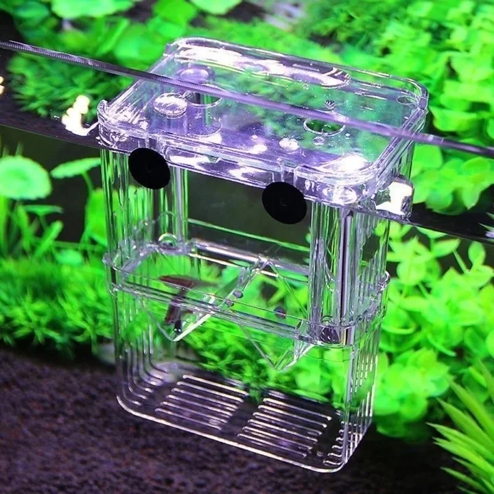 Double Deck Clear Fish Breeding Isolation Box Aquarium Breeder | Daraz ...