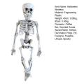 Oufeiton Spooky Human Bone Decor Spooky Halloween Skeleton Decoration with Posable Joints for Haunted House Realistic Plastic for Indoor/outdoor. 
