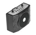 Microphone teach lapel mic Bluetooth Speaker ( Teacher Mic with Speaker ). 