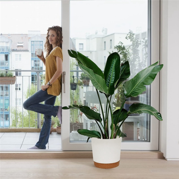 Drainage%20Holes%20and%20Small%20Pots%20Succulent%20Decorative%20Plant%20Pots%20for%20Outdoor,Indoor,Balcony,Patio,Garden%20Decor%20Easy%20Install%20C%20-%20Image%209