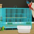Sturdy Plastic Bird Food Box Transparent Feeding Supplies Indoor Bird Feeder Bird Water Tank Box Cage. 