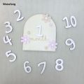 Wenefang Girls Boys Newborn Photography Props Baby Milestone Photo Props Profesional Wooden Baby Monthly Milestone Cards 3D Flowers Double Sides. 
