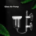 Air Refiner Fish Tank Aquarium Grass Shrimp Connected To Oxygen Pump with Oxygen Air Refiner Nano Low-pressure Air Bubbles. 