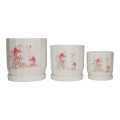 Ceremic Decorative Flower Pot With Combo Pack. 
