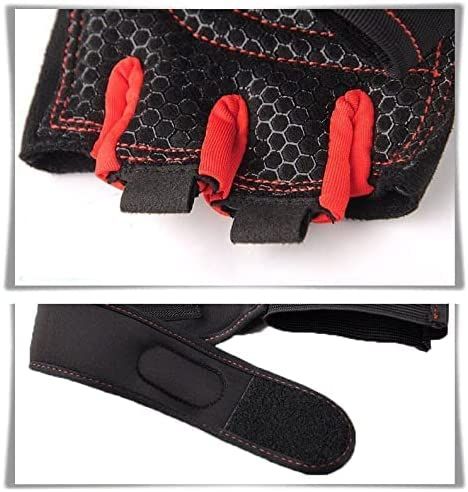 Weight%20Lifting%20Wrist%20support%20Gym%20&%20Fitness%20Gloves%20(Free%20Size,%20Multicolor)%20%7C%20Padded%20Half%20Gym%20Gloves%20With%20Wrist%20Support%20-%20Image%207