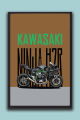 Kawasaki Ninja H2R Superbike Wall Art Frame| One Piece Frame. 
