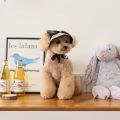 Pet Outdoor Supplies Adjustable Lace Dog Sunscreen Hat Portable Bowknot Dog Straw Hat Cute Pet Summer Cap Cat. 