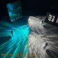 Fish Scales Acrylic Led Crystal Table Lamps With Remote. 