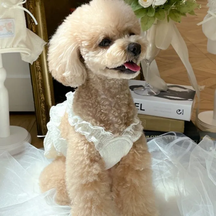 Pet%20Supplies%20Cute%20Pet%20White%20Lace%20Camisole%20Soft%20Breathable%20Summer%20Pet%20Vest%20Thin%20Design%20Dog%20Dress%20Spring%20Summer%20Autumn%20-%20Image%208
