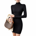 Turtle Neck Rib Bodycon Dress For Women Form Fitting Long Sleeve Winter Fashion Top Elegant Style. 