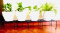 Salcko Set of 2 Pieces black  Rust-Resistant 36-Inch Metal Plant Stands - Ideal for Indoor and Outdoor Use, Combining Durability with Elegant Design. 