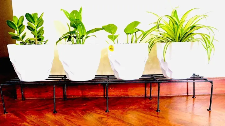 Salcko%20Set%20of%202%20Pieces%20black%20%20Rust-Resistant%2036-Inch%20Metal%20Plant%20Stands%20-%20Ideal%20for%20Indoor%20and%20Outdoor%20Use,%20Combining%20Durability%20with%20Elegant%20Design%20-%20Image%208