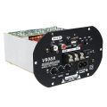AC/DC 80W High Power Bass Car Hi-Fi Subwoofer Amplifier Board Module TF USB 110V-220V. 