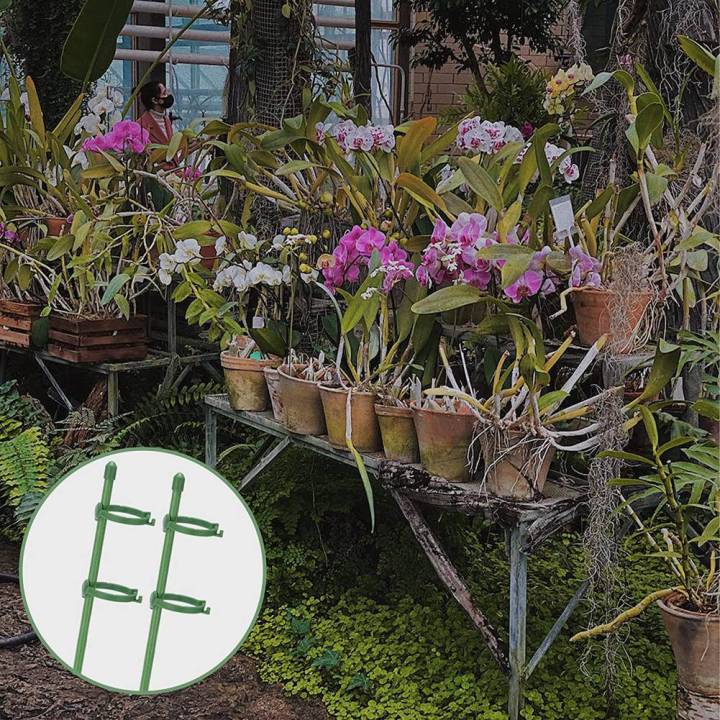 20%20Pack%20Plant%20Support%20Stakes%20Flower%20Support%20Stake%20Adjustable%20Garden%20Single%20Stem%20Floral%20-%20Image%206