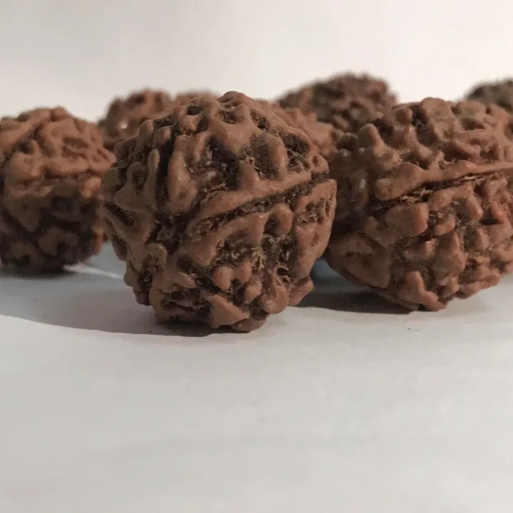 Original%20Nepali%205%20Mukhi%20Rudraksha%20For%20Puja%201%20kg%20-%20Image%202