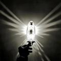 3D Bird Wall Lamp Body Animal Lighting Lustre Modern Creative Atmosphere Halloween Owl Eagle Shape Projector. 