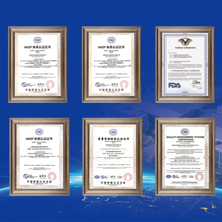 Jinoli%20brand%20coenzyme%20Q10%20softgel%20health%20care%20OEM%20customized%20OEM%20health%20food%20immune%20enhancement%20-%20Image%202