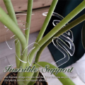 Turtle Shell Bamboo Clamp Set, Plant Stem Plastic Support,Flower-Shaped Green Plant Leaf Holder, Turtle Shell Bamboo A+B. 