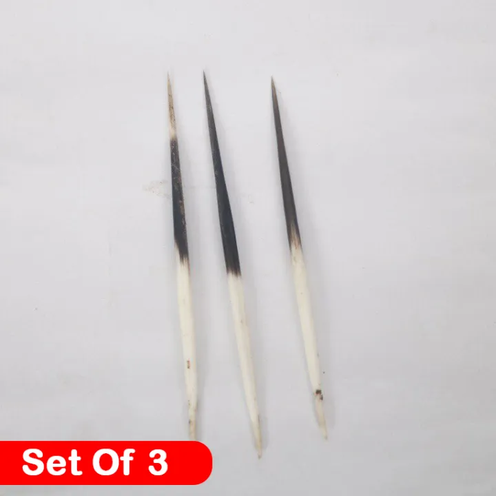 Dumsiko%20Kada%203%20Pcs%20Set%20%7C%20Dumsi's%20Thorn%20%7C%20for%20Bratabandha%20%7C%20Puja%20Saman%20-%20Image%202