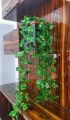 Artificial 12 Piece Rubber Money Plant 94 Ft (1121 Inches) Lahara For Decoration Home And Wall Decor. 